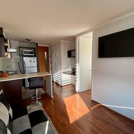 Comodo Departamento Centro De Santiago Apartment